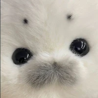 EW—hO0