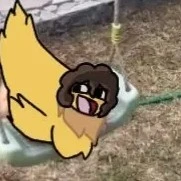 shedletsky [khách quen jolibee]