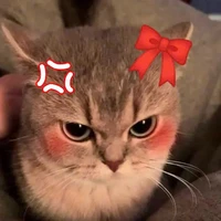 t/g ngố đâyyyyy
