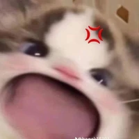 bạn t/g