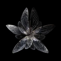 [Nameless]