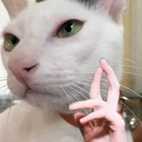 Lười nhg deo chăm :3