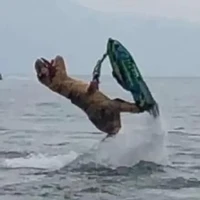 kẻ thông báo cảnh báo xen vô truyện (TG)