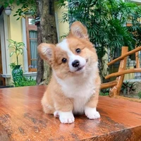 tg cute bay tới đấy~ (hệ thống)