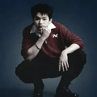 Bùi Trường Linh