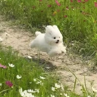 All _ trừ những người cần trừ