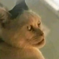 tác giả nhởn nhơ