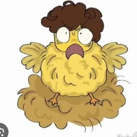 shedchicken (nghiện gà)