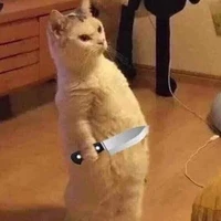 tg siêu đẹp gái