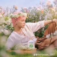 Nguyễn Thái Sơn|jsol