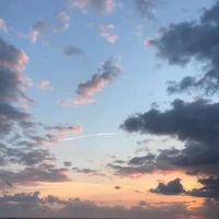 all ( trừ ai thì trừ )