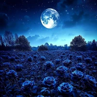 Con tg mất nết:))