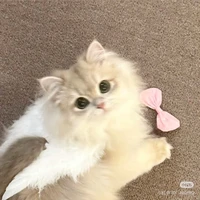 𝐒𝐮𝐮