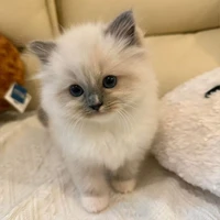 𝐓𝐮̛𝐨̛𝐢