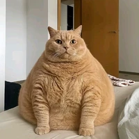 nhân viên trong quán