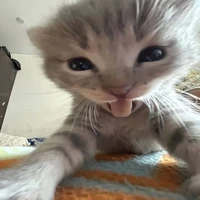 Kẻ nắm quyền kết HE hay SE