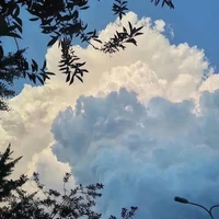 All trừ ai thì trừ