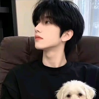 trần gia huy
