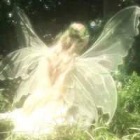 T/g thích đọc bình luận