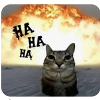 quần chúng nhai dưa