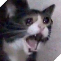 ngươi chỉ là nvp thôi