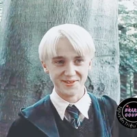 draco maifoy