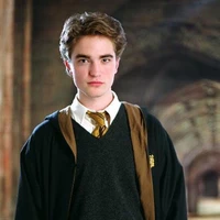 cedric digorry