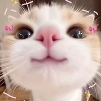 T/g dthuow bayy tới dayy