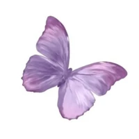 yn