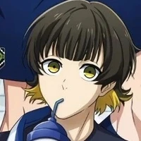 Bachira ( ong vàng)