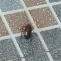 ????