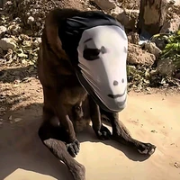 Tác Giả Bộ Này, Ok!?