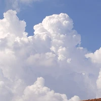 All(-trừ những người cần trừ)