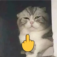 hệ thống dth nhất thế giới