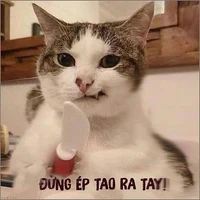 Lem iu day nò