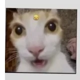 hệ thống trò chơi