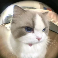 t/g đẹp troai 😎