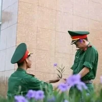 all học sinh/all giáo viên