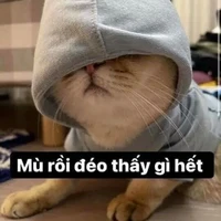 Nguyễn Bảo Vy[tui]