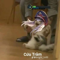 tác giả