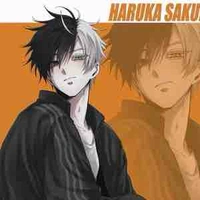 Sakura Haruka/em/cậu