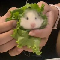 chuột xào tỏi(my friends)