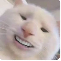 con bạn thân của tôi (mi, cho vui)