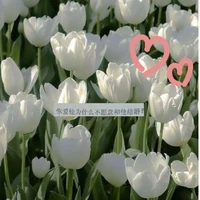 Yuzulyyyy(tg)✨️✨️