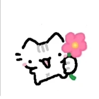 Nam/Nữ/Gay/Bêđê/cô/dì/chú/bác/bí ẩn