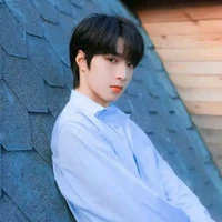 Lưu Diệu Văn ( Anh )