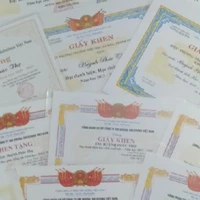 trái cam biết lăn