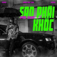 Bùi Thế Anh (Bâus)