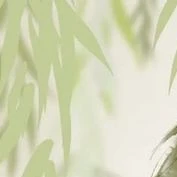 Ý Chí Thế Giới