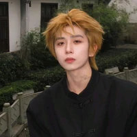 Bis Trần